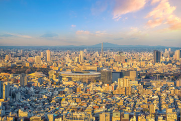 Wall Mural - Top view of Tokyo city skyline in Japan..Top view of Tokyo skyline at sunsetTop view of Tokyo skyline at sunset.Top view of Tokyo skyline at sunset.Top view of Tokyo city skyline at sunset in Japan.