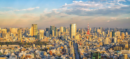 Wall Mural - Top view of Tokyo city skyline in Japan