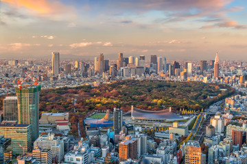 Wall Mural - Top view of Tokyo city skyline in Japan.