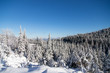 widok z gór w kapraczu, w zimowej scenerii z choinkami