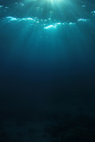 Fototapeta  - Sunlight in ocean 