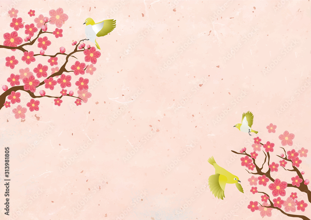 梅：梅 3月 鶯 和風 フレーム 背景 フレーム枠 手描き 水彩 の Stock