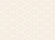 Japanese traditional Hexagon geometric pattern vector background