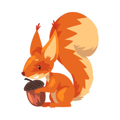 Sticker - Cute Squirrel with Acorn, Funny Little Orange Rodent Animal Cartoon Character Vector illustration