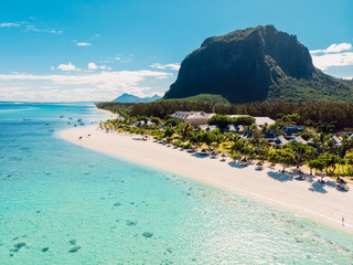 Luxury beach with mountain in Mauritius. Beach with palms and crystal ocean. Aerial view