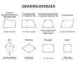 Quadrilaterals vector illustration. Labeled four side geometrical ornaments