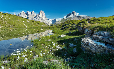 Aufkleber - Awesome Nature Landscape. Alpine lake with crystal clear water and frash grass and flowers. Perfect Blue sky and mountains peaks. Incredible view of Dolomites Alps. Tre Cime di Lavaredo National park