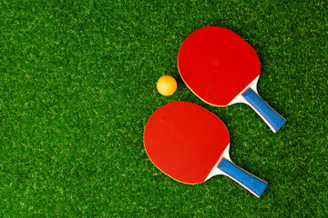 Wall Mural - Ping pong rackets and ball on grass