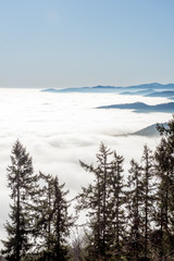 Poster - mer de brouillard au dessus des Vosges