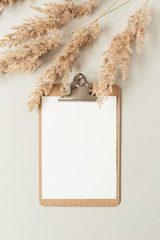 Wall Mural - Blank sheet clipboard with empty copy space, reeds branch on neutral background. Flat lay, top view minimal business template for social media, magazine, blog. Home office desk table workspace.