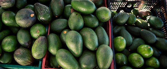 Wall Mural - fresh green papaya at a market