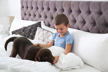 Wall Mural - Funny puppy and little boy in bed at home. Friendly dog