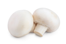Fresh Mushroom Champignon Isolated On White Background With Clipping Path