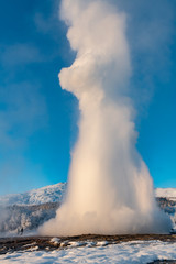 Strokkur geyser erupting in Geysir Geothermal hot spring in Iceland on a clear blue sky day in winter