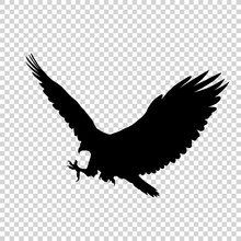 Detailed Bird Black Silhouette Isolated On Transparent Background. Bird Icon. Flat Style Bird Sign. Vector Illustration