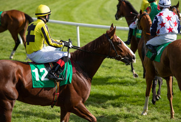 Wall Mural - Race horses and jockeys on the track before a race