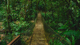 Fototapeta Dziecięca - Beautiful wooden bridge in Panacam green forest Honduras