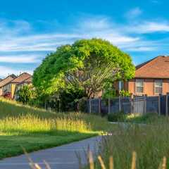 Wall Mural - Square frame Views at a golf course with paved road and grasses near homes with metal fences