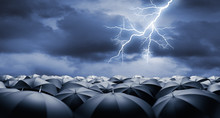 Crowd Of Black Umbrellas In Rain And Thunderstorm Wit Lightning