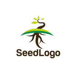 Wall Mural - Growing Seed Logo Designs Vector Seed Stock Vector 