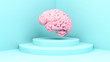 human pink brain on podium