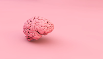 Wall Mural - pink brain