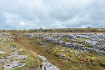 Canvas Print - ireland galway county landscape view