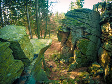 Beautiful Rock Formation In The Forest