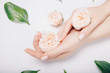 © Parilov - Close-up beautiful sophisticated female hands with pink flowers on white background. Concept hand care, anti-wrinkles, anti-aging cream, spa