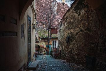 Wall Mural - Alley of a European town, medieval alley with typical houses