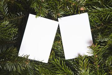 Sticker - Christmas tree branches lay flat background with blank white card