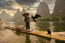 A Fisherman And His Cormorants On A Raft In Sunset