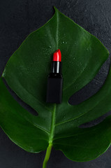 Vertical shot of green wet leaf and red lipstick on it