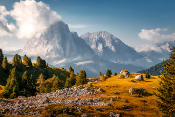 Papier Peint - Beautiful alpine countryside. Scenic image of famous Sassolungo peak with overcast perfect blue sky. Wonderful Vall Gardena under sunlight. Majestic Dolomites Mountains. Amazing nature Landscape.