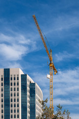 Poster - Yellow Crane Lifting Parcel in San Diego