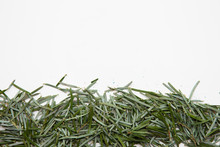 Pine Needles On A White Background Cleaning Up After Christmas Holiday