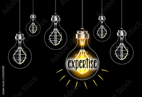 Cuadros en Lienzo Concept d'expertise avec ampoule
