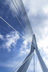 Erasmus bridge in Rotterdam