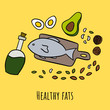 Good healthy fats concept in cartoon style, avocado, fish, eggs, olive oil, cashew nuts, walnuts, almonds and pumpkin seeds. Sources of omega 3.