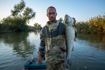 Wall Mural - Fisherman holds the big Asp fish and looks at the camera