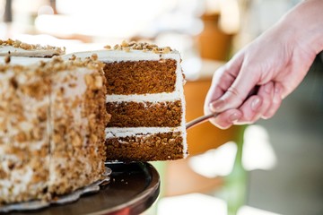 Wall Mural - Piece of carrot cake