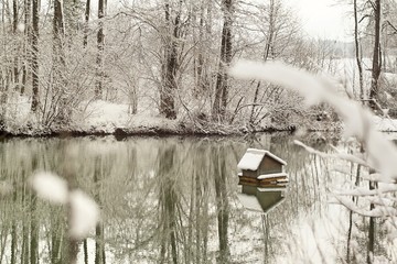 Lake with bird house