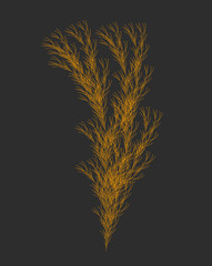 Wall Mural - vector weed generative design - plant like l-system mathematical model