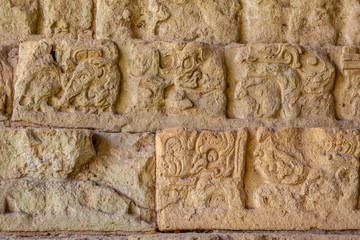 Wall Mural - Detail of the Drawings in The stairs of the most famous temple in Copan Ruinas. Honduras