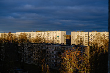 Wall Mural - sunset over the city with dark tree trunk silhouettes in front