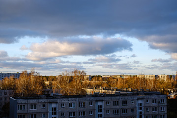 Wall Mural - sunset over the city with dark tree trunk silhouettes in front