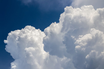 Wall Mural - white curly clouds in a blue sky. sky background
