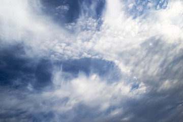 Wall Mural - white curly clouds in a blue sky. sky background