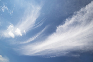 Wall Mural - white curly clouds in a blue sky. sky background
