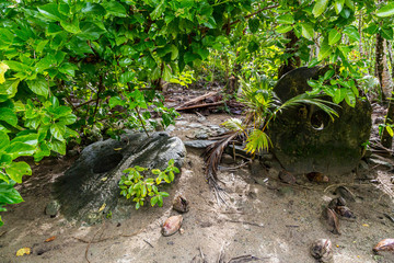 Two giant prehistoric megalithic stone coins or money rai, lying in the sand hidden under trees overgrown in jungle. Yap island, Federated States of Micronesia, Oceania, South Pacific Ocean